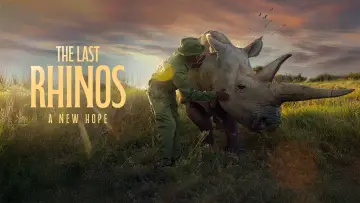 Zasłona do filmu "The Last Rhinos: A New Hope" #1583559