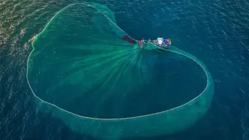 Zasłona do filmu "Au nom de la mer : vers une pêche durable ?" #940343