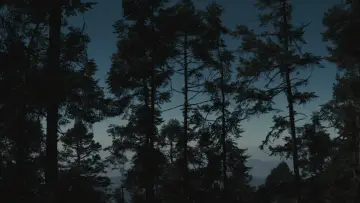 Zasłona do filmu "Para atrapar el viento" #843162