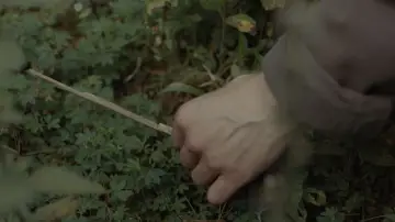 Para atrapar el viento