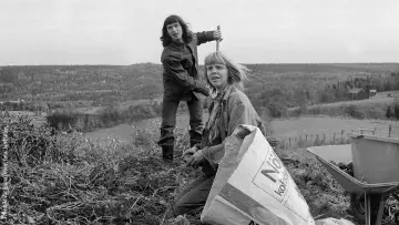 Zasłona do filmu "Vår gröna dröm" #938147