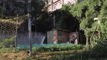 Zasłona do filmu "屋舍上的葉仔花" #1159224