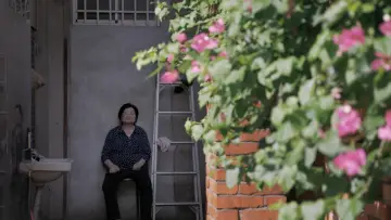 Zasłona do filmu "屋舍上的葉仔花" #1159225
