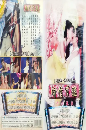 偷情宝鉴之欲海无涯 plakat