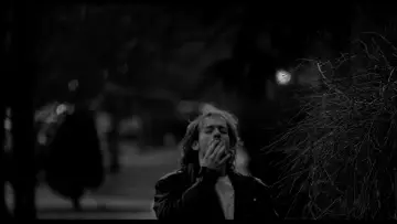 Zasłona do filmu "Palliative" #773591