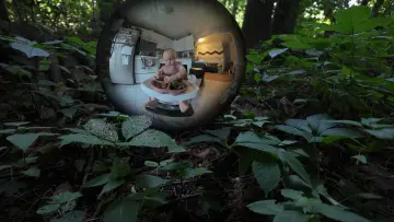Zasłona do filmu "La fin d