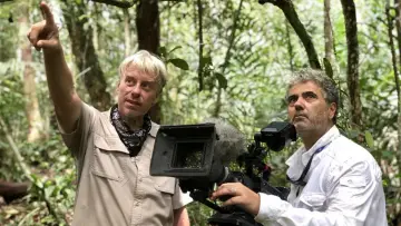 Zasłona do filmu "Orang-Utans - Borneos Waldmenschen" #922242