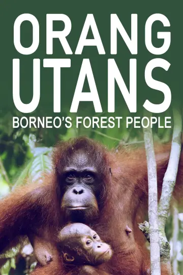 Plakat do filmu "Orang-Utans - Borneos Waldmenschen" #922243