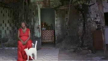Zasłona do filmu "Aqui Não Entra Luz" #1632157