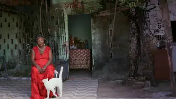 Zasłona do filmu "Aqui Não Entra Luz" #823470