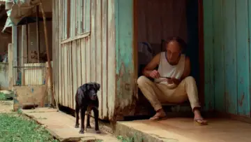 Zasłona do filmu "O Caçador" #973428