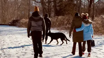 Zasłona do filmu "Not My Dog" #1533229