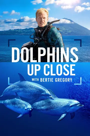 Plakat do filmu "Bertie Gregory: bliskie spotkanie z delfinami" #980097