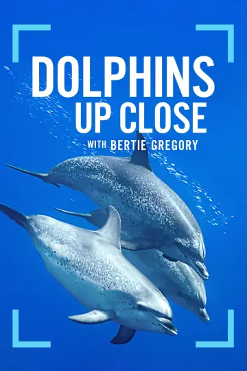 Plakat do filmu "Bertie Gregory: bliskie spotkanie z delfinami" #980098