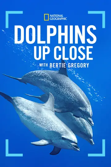 Plakat do filmu "Bertie Gregory: bliskie spotkanie z delfinami" #980099