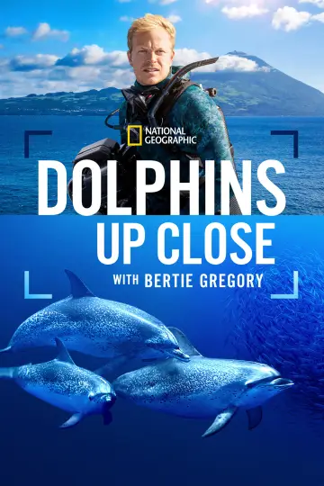 Plakat do filmu "Bertie Gregory: bliskie spotkanie z delfinami" #980100
