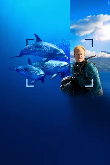 Plakat do filmu "Bertie Gregory: bliskie spotkanie z delfinami" #980101
