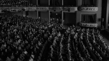 Zasłona do filmu "Foster" #1649435