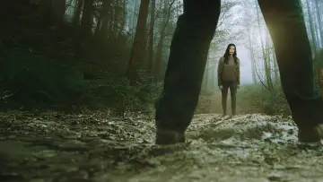 Zasłona do filmu "Danger in the Countryside" #812178