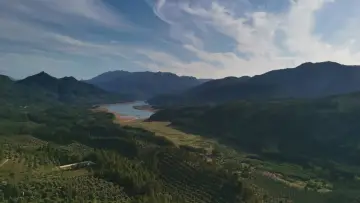 Zasłona do filmu "La sombra del quebrantahuesos" #845951