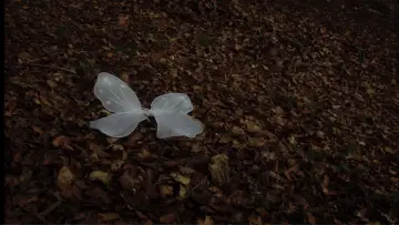 Zasłona do filmu "Quan ningú ens mira" #978166