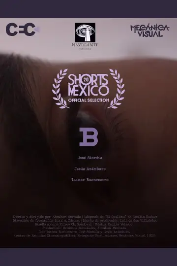 B plakat
