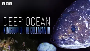 Zasłona do filmu "Deep Ocean: Kingdom of the Coelacanth" #933661