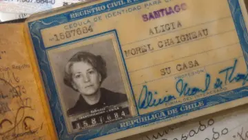 Zasłona do filmu "Alicia bajo la higuera" #1680889
