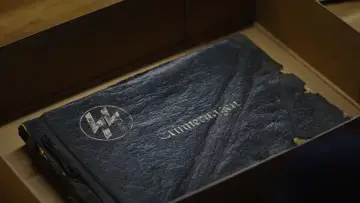 Zasłona do filmu "L