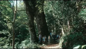 Zasłona do filmu "Hako no Naka no Hitsuji" #1781377