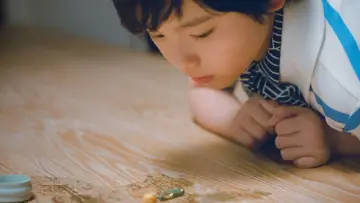 Zasłona do filmu "箱の中の羊" #616847