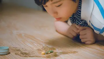 Zasłona do filmu "箱の中の羊" #952529