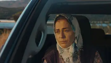 Zasłona do filmu "Blade kwiaty mamy" #1905729