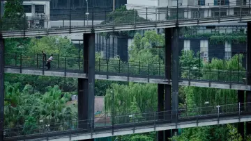 Zasłona do filmu "春树" #849988