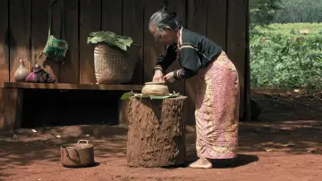 Zasłona do filmu "Nous Sommes les Fruits de la Forêt" #1508737