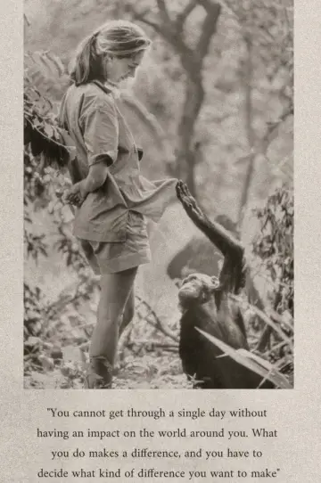 Plakat do filmu "Słynne ostatnie słowa: Dr Jane Goodall" #1524269