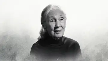 Zasłona do filmu "Słynne ostatnie słowa: Dr Jane Goodall" #697412