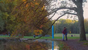 Zasłona do filmu "zusammen ist man weniger getrennt." #786244