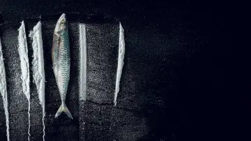 Zasłona do filmu "Przypływ: Niewiarygodna historia Rabo de Peixe" #693630