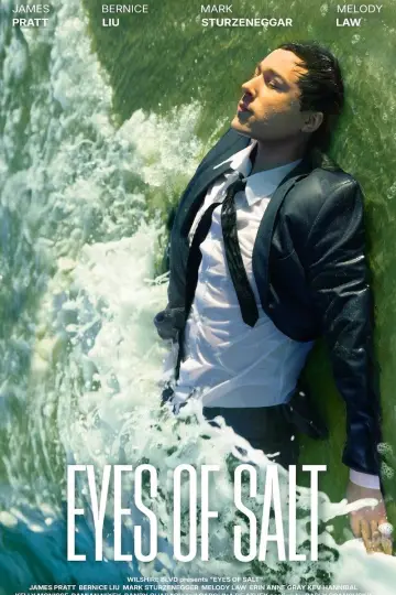 Eyes of Salt plakat