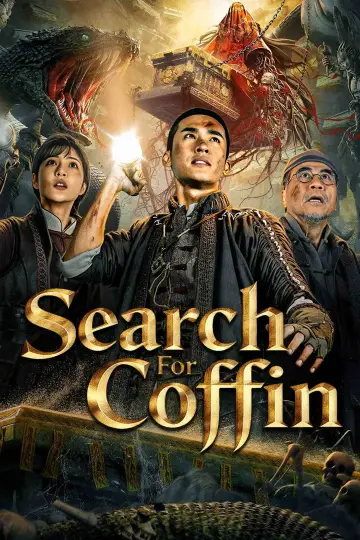 寻棺 plakat