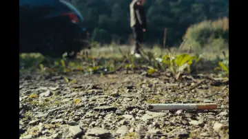Zasłona do filmu "BRAISE" #937323