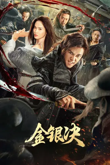 金银决 plakat