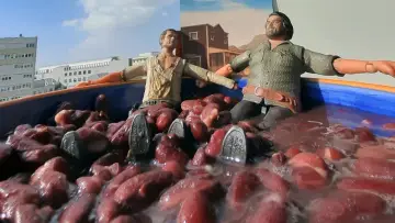 Zasłona do filmu "Terence Hill, Bud Spencer… et moi" #1785956