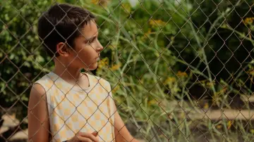 Zasłona do filmu "Gallina" #1624172