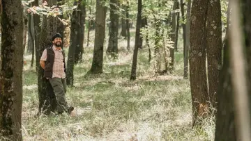 Zasłona do filmu "Pădurea este a mea" #977861