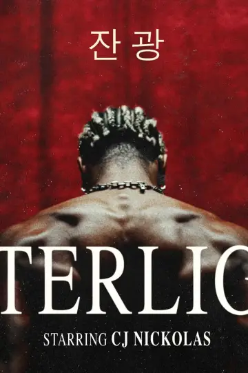 Afterlight plakat