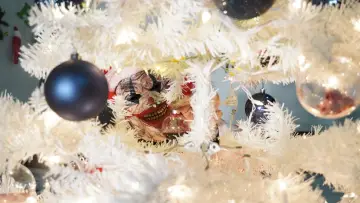 Zasłona do filmu "Camp Blood Christmas" #1889543