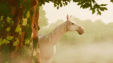 Zasłona do filmu "Arklio Dominyko kelionė į žvaigždes" #561560
