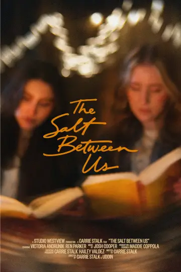 The Salt Between Us plakat